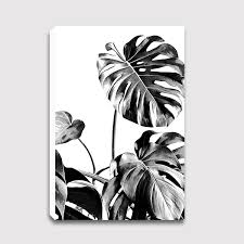 Motif daunnya cantik, gradasi hijau dan putih dengan tulang daun bercorak hijau tegas. Monstera Black And White 07 Lukisan Dinding Unik Online Hiasan Rumah Arti