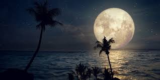 Resultado de imagem para LUA
