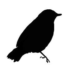 9631 Free Bird Silhouette Clip Art Public Domain Vectors