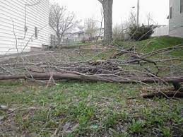 Yard Waste Removal Yard Waste Trees Branches Leaf Removal Service And Cost Albuquerque Nm Abq Household Service Yard Waste Removal Yard Waste Waste Removal
