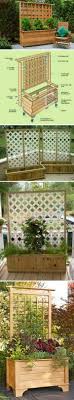 Looking for privacy fence ideas? 30 Diy Trellis Ideas For Your Garden 2017