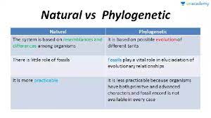 Neet Ug Phylogenetic And Phenetic Classification Offered By Unacademy