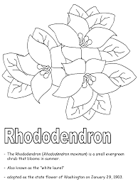 The raleigh county library will host a rhododendron coloring contest until may 23. Rhododendron Coloring Page