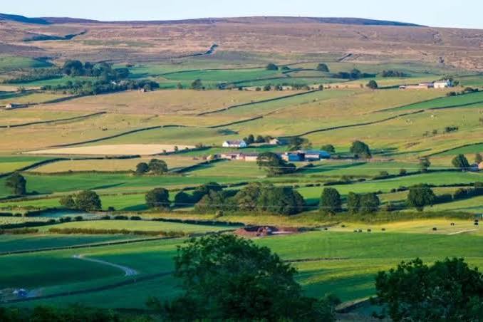 Imóvel Rural: conceito, características e obrigações legais