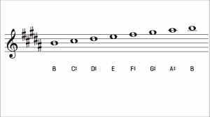 The B Major Scale Notes Chords More