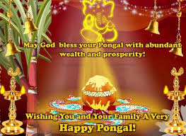 Wealth And Prosperity To All Happy Pongal Happy Pongal Wishes Happy Diwali Images
