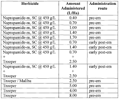 Image result for Echinochloa brevipedicellata