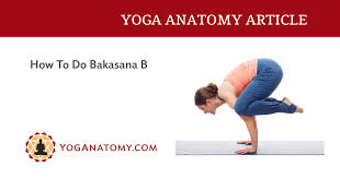 How To Do Bakasana B Yoganatomy