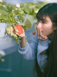 Strawberry found near Wolfenbuttel Park