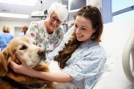 Handle Therapy Dog Visiting Scenarios Alliance Of Therapy Dogs