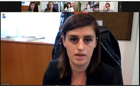 Council of Europe...