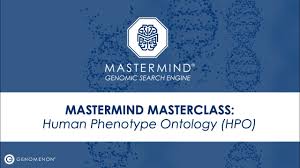 Then, replicate and insert the glyphs as numbers into the online sudoku solver. Mastermind Masterclass Human Phenotype Ontology Hpo