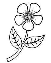 Dltk's crafts for kids free printable coloring pages. Flowers Coloring Pages Sheets Topcoloringpages Net