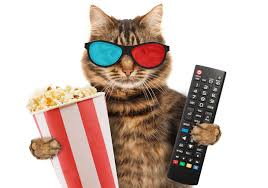 Can cats eat peanut butter? Can Cats Eat Popcorn And Still Be Healthy Here What Experts Say