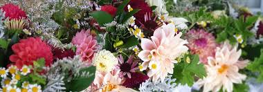 Whether you've been anxiously awaiting this season so you can watch your garden come to life. Home Country Blooms Flower Farm