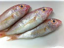 Namun demikian, bukan semua jenis ikan yang boleh dimakan semasa berpantang. 10 Jenis Ikan Untuk Ibu Berpantang Jenis Ikan Yang Tidak Gatal