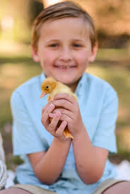 I'll be offering baby chick + duck minis this Saturday! Who's interested??  Perfect weather and adorable little animals 🤩 if you were not interested  in pics with the ducks or chicks, it
