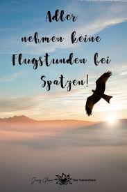 Jeden Morgen Gratis Fur Dich Fur Einen Energievollen Start In Den Tag In 2020 Spruche Gluck Zitate Zitate Motivation