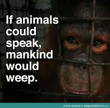 I Wonder What They Would Say Animal Quotes Spirit Science Animals Matter