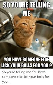 25 Best Memes About Lick Me Meme Lick Me Memes