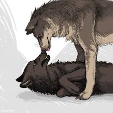 So Much Love Anime Wolf Canine Art Dog Drawing