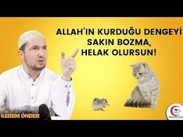 Arkadaslarim Alay Ettigi Icin Namazi Birakmak Istiyorum Sofi Mi Oldun Oglum Sen Kerem Onder Youtube Youtube Sakiz Allah