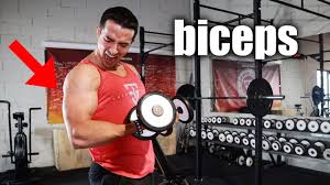 Biceps Entrainement Intense En 5 Minutes A La Maison Youtube