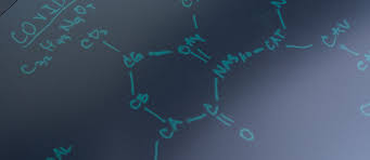 Leipziger museen und zoos können am. Universitat Leipzig Information About Coronavirus