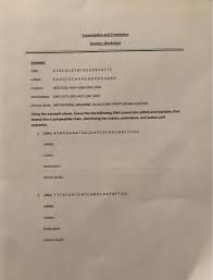 Start studying transcription and translation worksheet. Solved Transcription And Translation Practice Worksheet E Chegg Com