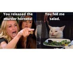 Pin On Funny Animals