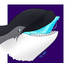 Гостиница дельфин в должанской, чапаева,149 б. Killer Whale Dolphin Marine Mammal Cetacea Whale Marine Mammal Animals Eating Png Pngwing