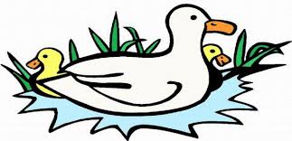 This page contains adorable duck coloring pages, including ducklings with their mothers, ducks dressed up, and ducks and other barnyard animals at a farm. Duck Coloring Pages