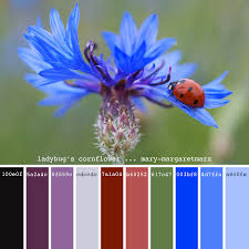 Ladybug S Cornflower Mary Margaretmarx Color Colors Colour Colours Colorpalette Colorpal Color Palette Design Blue Color Schemes Color Palette Bright
