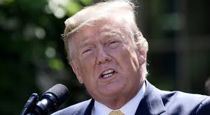 The Jolt: In leaked poll, Trump also trailed Biden in Georgia, North  Carolina