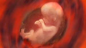 Kepala bayi sedang menghala ke bawah dan bahagian yang di cucuk ibu tadi adalah punggung bayi dalam kandungan. Kenapa Posisi Bayi Di Dalam Kandungan Bisa Sungsang Kumparan Com