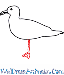 1 drawings on pixiv, japan. How To Draw A Seagull