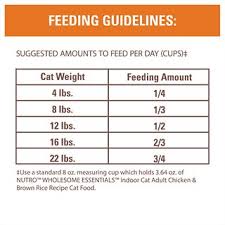 Nutro Wholesome Essentials Indoor Chicken Brown Rice Recipe Adult Dry Cat Food 3 Lb Bag