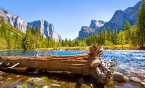 Maybe you would like to learn more about one of these? Rv Camping In Sequoia National Park Cruise America