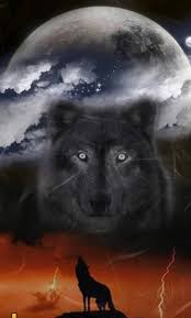 Lg Gt405 Hintergrundbilder Wolf Bilder Wolf Hunde Schwarze Wolfe