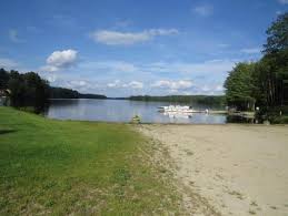 Image result for Lintonia