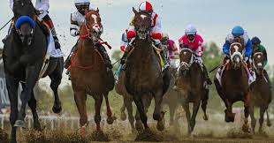 Here are some helpful navigation tips and features. Early Look At Belmont Stakes Reveals No Clear Favorite The New York Times