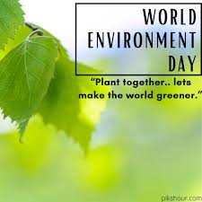 What is the theme for world environment day 2021? 32 World Environment Day 2021 Pikshour Important Days World Environment Day Environment Day Environment Day Quotes