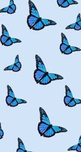 Pippin was originally conceived as a student musical titled pippin, pippin and performed by carnegie mellon university's scotch'n'soda theatre troupe. Blue Butterfly Wallpaper Aesthetic 571x1072 Download Hd Wallpaper Wallpapertip