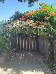 We did not find results for: Ambience Floral Design Gifts Home Facebook