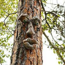 Wmool Ornaments Bark Face Facial Features Tree Decoration Easter Outdoor  Props Facial Outdoor : Amazon.co.uk: Garden