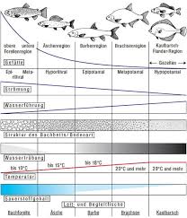 Learn vocabulary, terms and more with flashcards, games and other study tools. Fische Biodivers