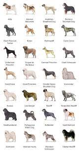 Picking A Puppy Can Be A Difficult Decision To Make Here Are Some Famous Breeds To Choose From Dog Breeds List Working Dogs Breeds Dog Breeds Chart