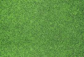 1596x966 april 2016 high definition wallpapers. Dezinficijens Sto Gitara Green Mat Texture Caminovacations Com
