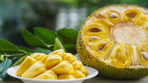 Kumpulan aneka resep olahan buah nangka muda, nangka matang dan biji nangka. 6 Resep Olahan Nangka Muda Yang Menggugah Selera Hot Liputan6 Com
