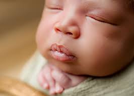 Utah Newborn Photographer (@saltcitybirthandnewborn) • Instagram photos and  videos